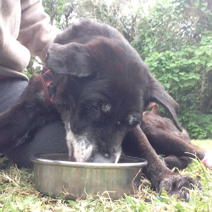 4463bbe3 8ff3 4782 96a6 2ad9fbc2eecd 1515131652491