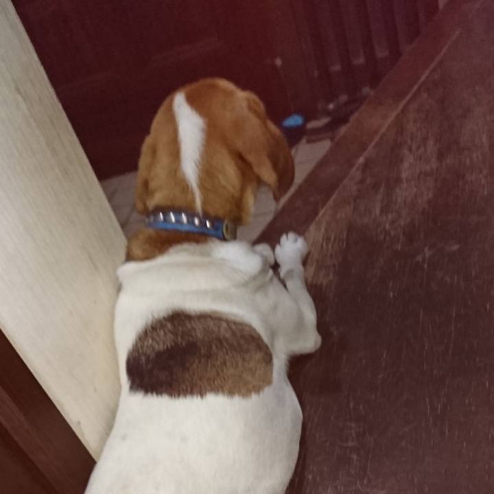 4463caa3 03a3 4278 820e f30b5eccf3ff 1567085530249