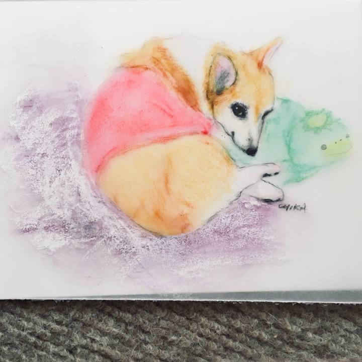 446428d8 2168 4dbc a493 eb19872f77e9 1571369937470