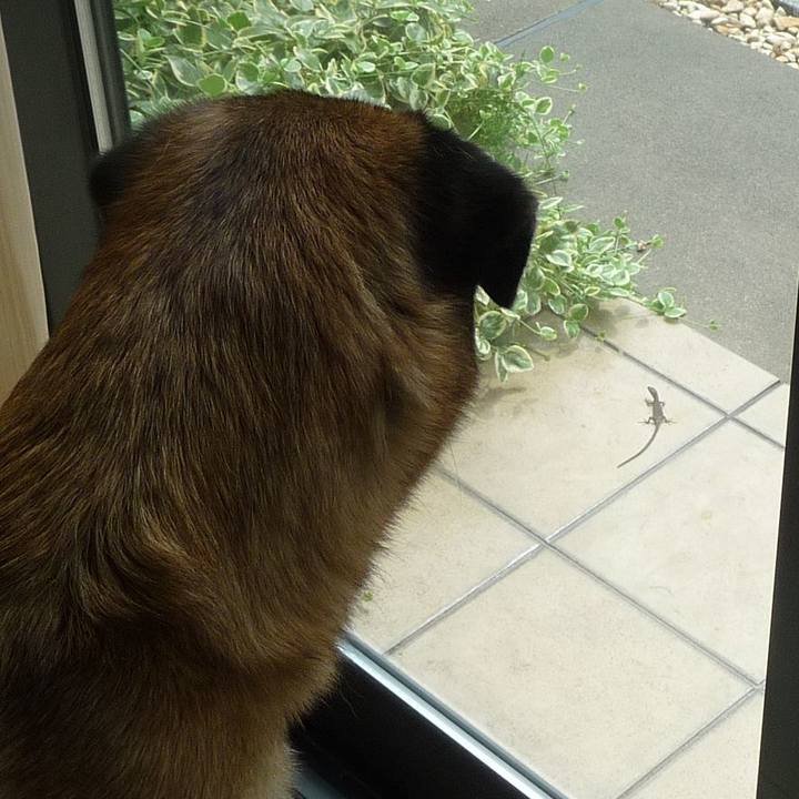 4464387f af5e 43a6 829e 848b3b6f5ef9 1577492555436