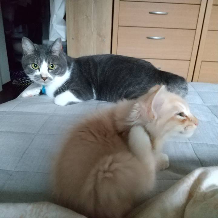 44644726 06e2 413d 9e2f db38ce0187b3 1602886279144