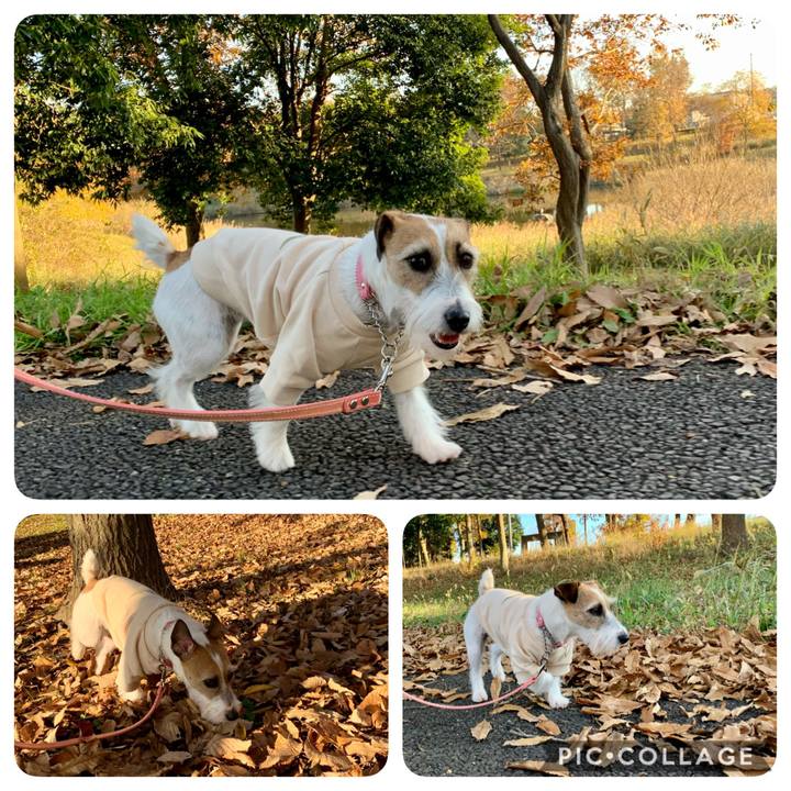 446448d9 1527 41ce bc6e 6e8e65f56128 1607328410941