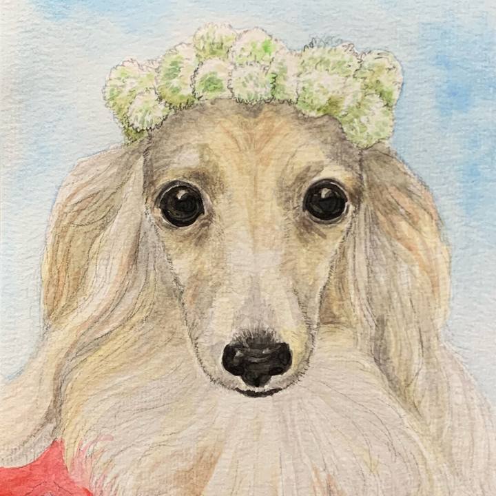 44646711 bf42 4db2 9791 7ca8e7f106c1 1682499329355