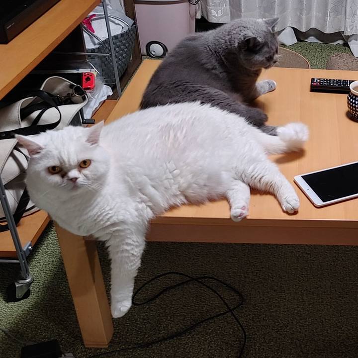 44646f9a 55c3 4b04 ae05 56a03293eac3 1687770792139