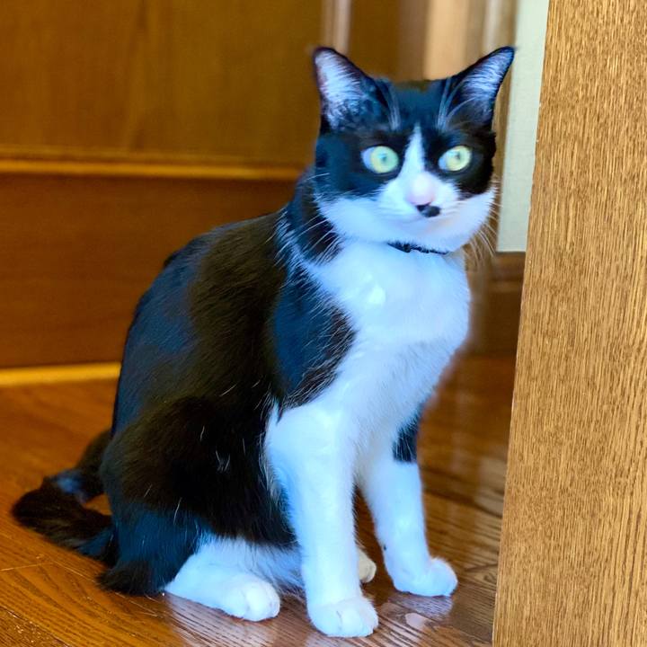 4464d429 a8ca 4399 a297 08b36b94388e 1579567126523