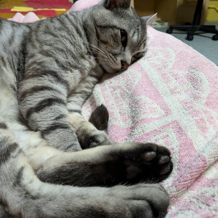 4464e507 9cbf 4406 b704 9f5d714f0809 1719325593687