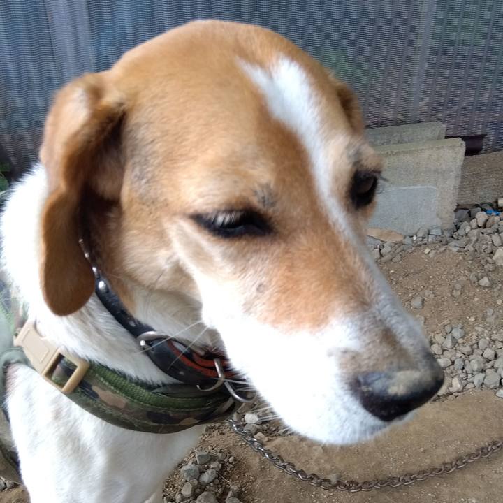 4464ea09 ede5 4cf8 a5a0 f894d37cec21 1691324433797