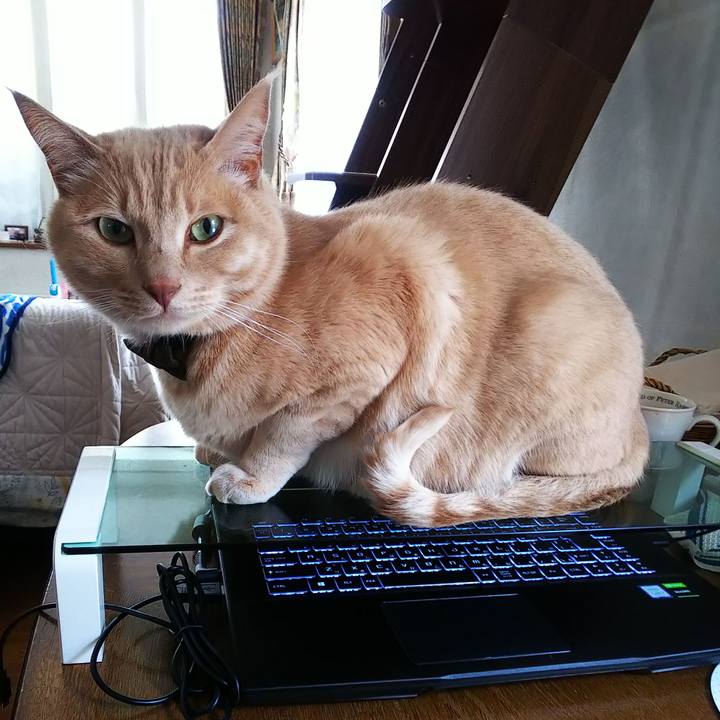 44652ce5 c29d 4089 b591 b42a35502b85 1646724112326