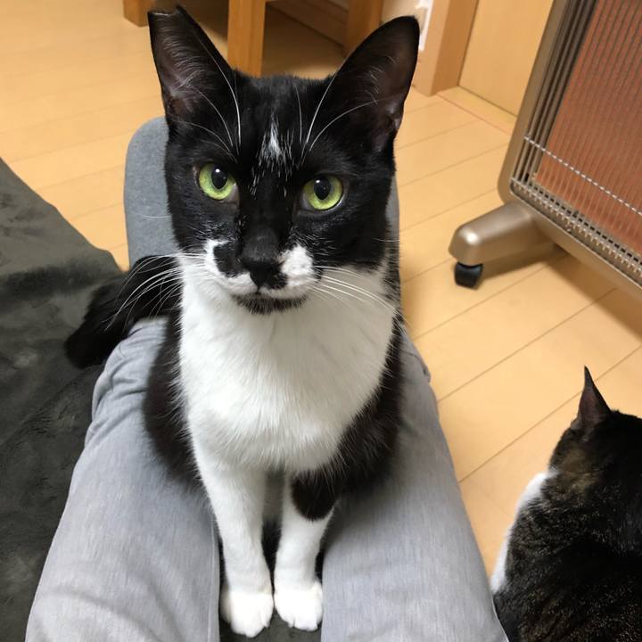 446548d3 4f35 48b1 8f10 5e44292c5896 1553918474564