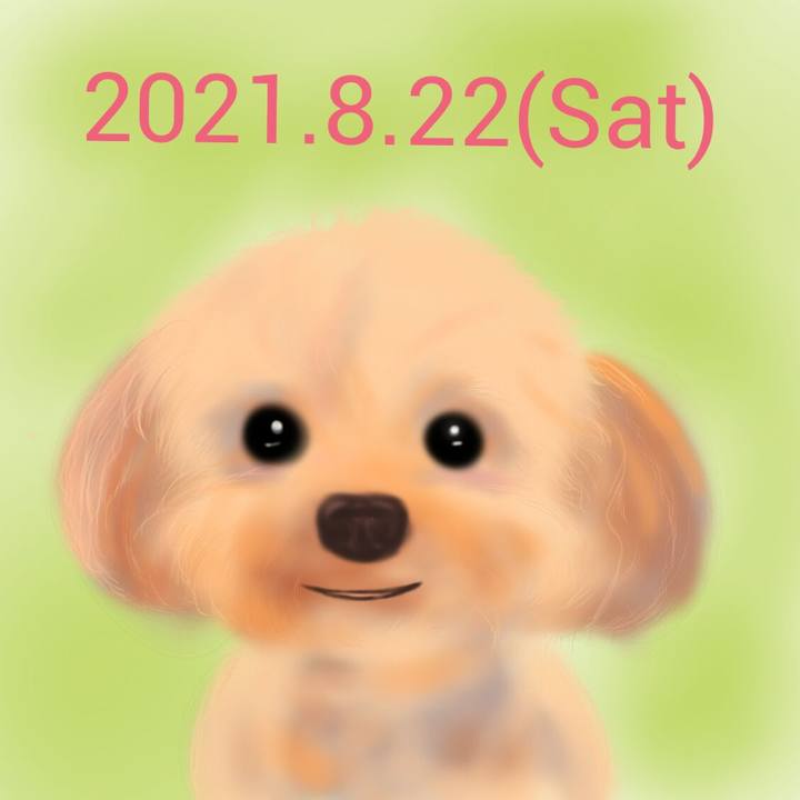 446593d8 893d 435e 920f 1a89fd4a4149 1629628175592