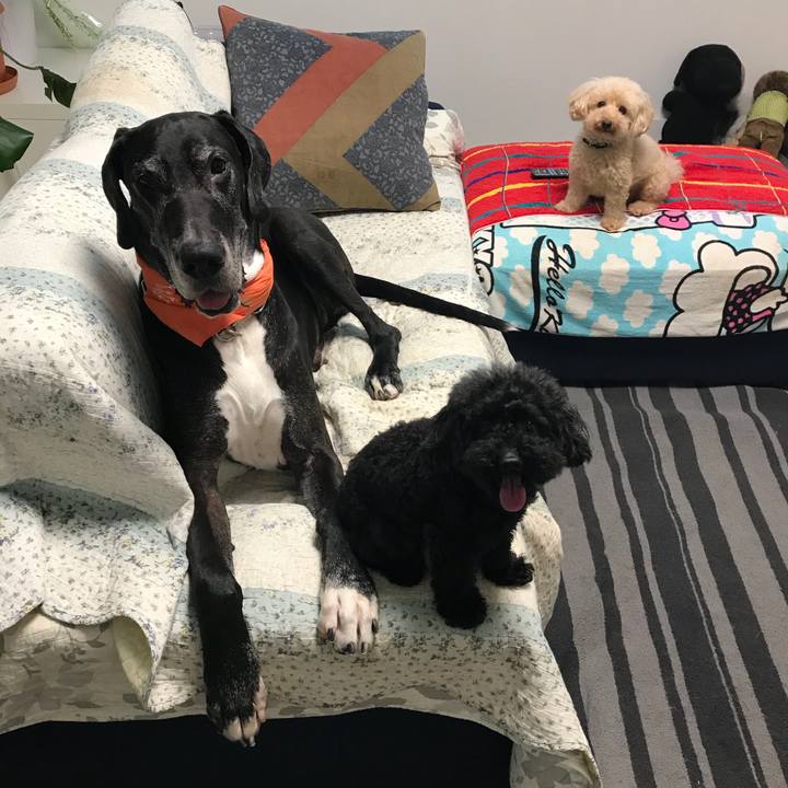 4465a61f 3ea7 4fc6 98b7 32fd32720d83 1536184960414