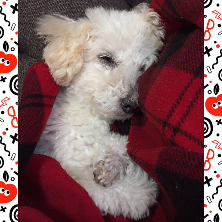 4465befd 799e 41ac be0a 380f842e6ed1 1512901826119