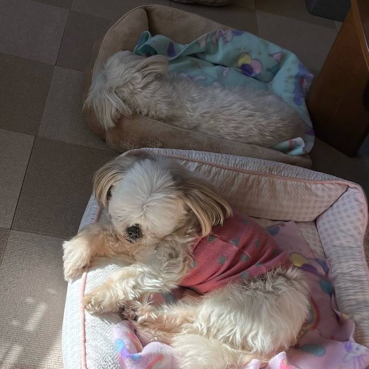 4465d193 e734 44aa 84ab 31e2f4955220 1674619298224