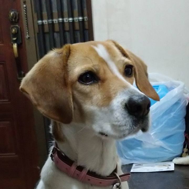 4465dfc4 597d 414a 861d f6220d3f48bc 1580986572948