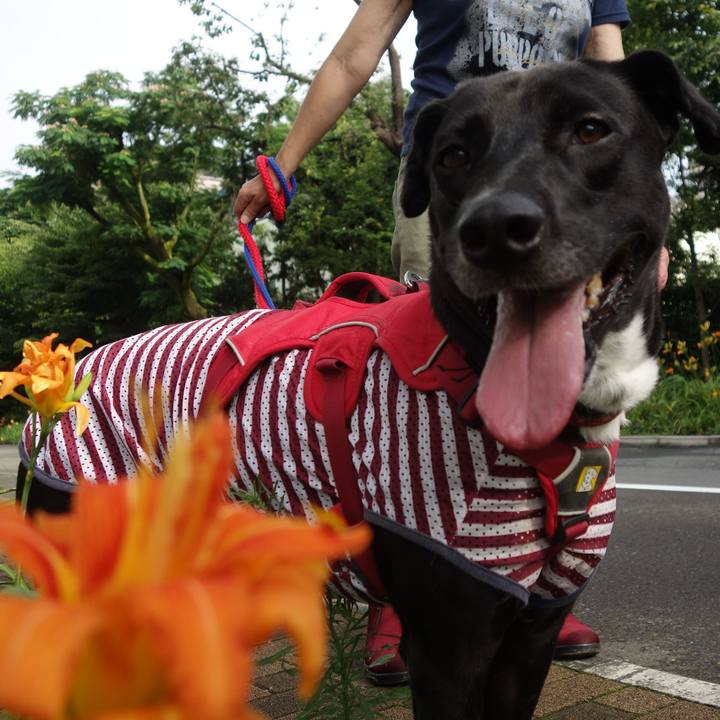 4465e86e ba8e 45d9 816a 3eab86e0a1b7 1593906589088