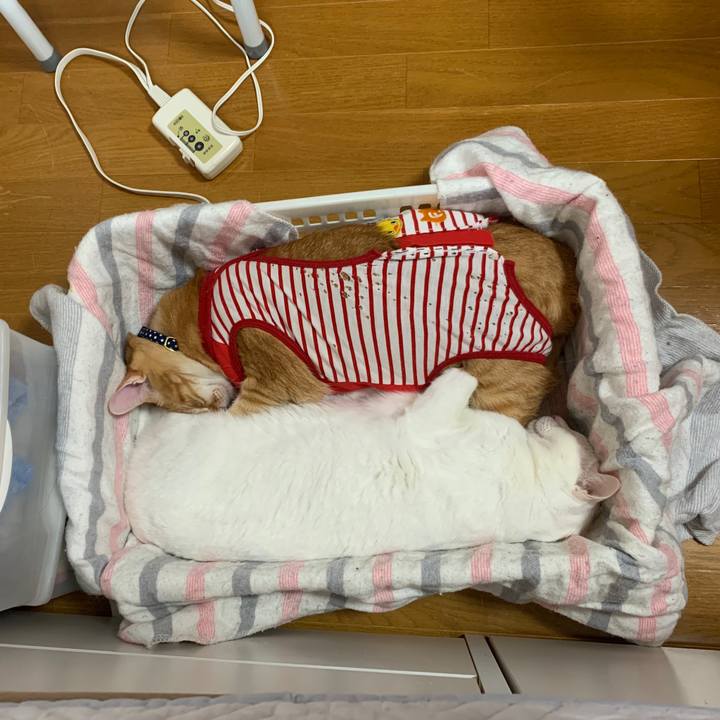 4465e9e9 f05a 4f93 991f 5b11e989b5ee 1582960002134