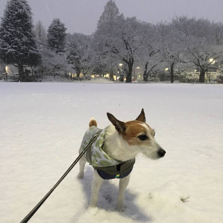 4466053f cb55 4ab4 81e4 8e62f87926b3 1641511466201