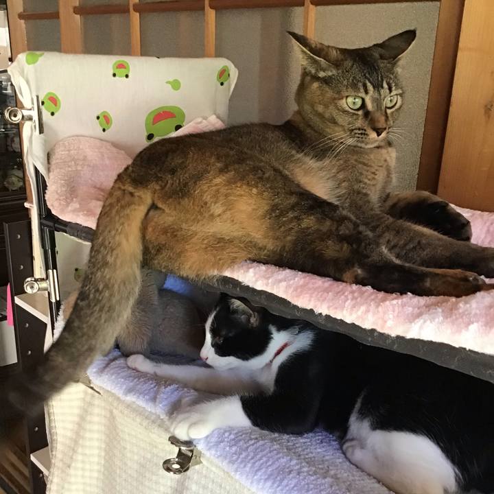 44660b1e 4442 4647 a5df a815e5147025 1628212283398