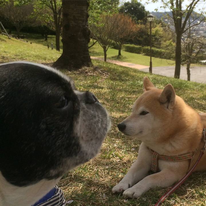 44661f1c 1dbe 4968 ad38 9d495a365ca1 1522593744161