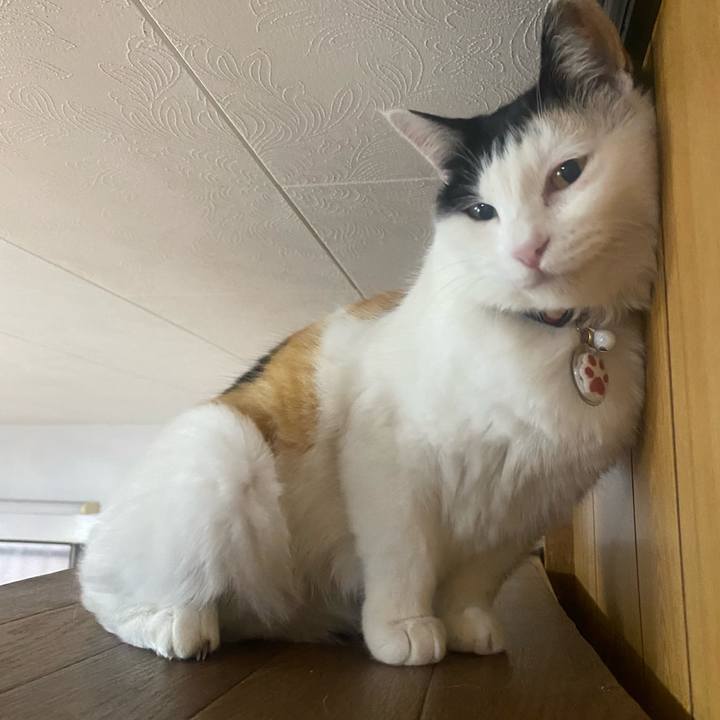 44662560 7522 42ce b665 8a6607b76b52 1644908195174