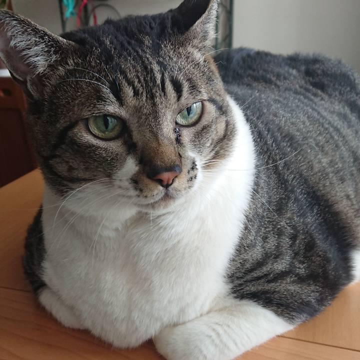 44663203 9d18 492b b620 fbdf35721043 1573771233811