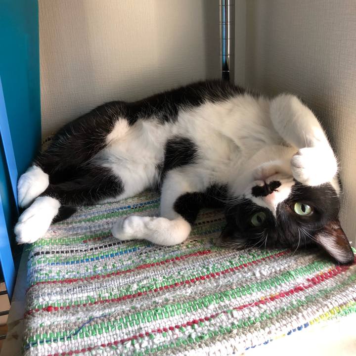 446632f2 f3c2 46b8 b856 87e622b20440 1533052444014