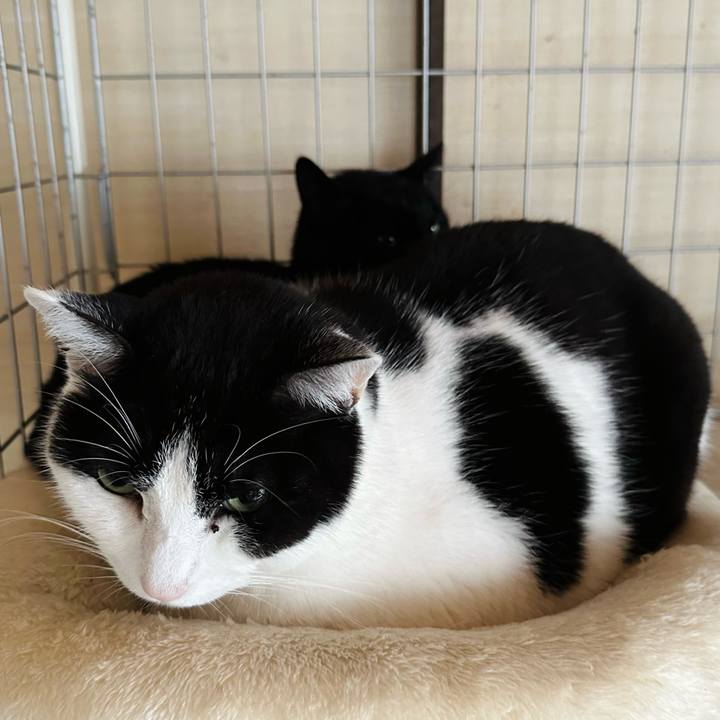 446655eb 070c 48d6 8db5 b5857ee4c163 1708653574080