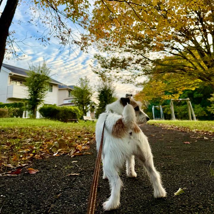 446658bc 2d3e 497f ac92 31c103f48f1e 1762827496248