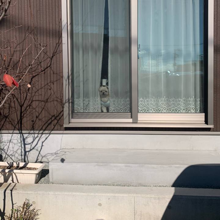 44669ad9 50e5 439d a8ea ad277daf7ca1 1734351390442