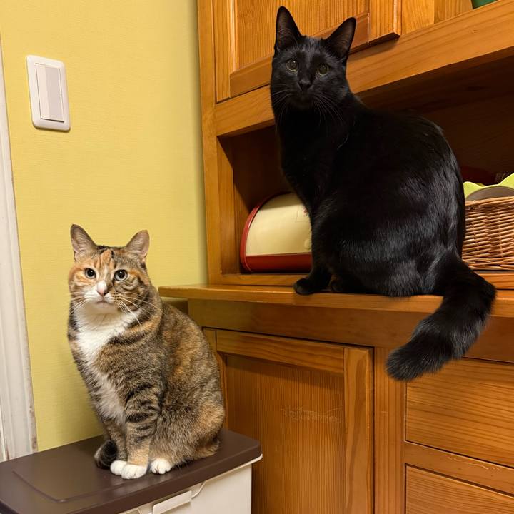 4466a845 3571 4a9d 9e94 a9d310b5e919 1775686622913