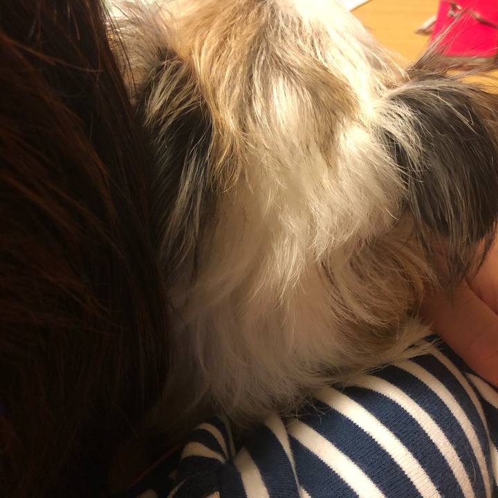 4466ab7e aa60 47b4 b331 3ccb60abd3c7 1571573718230