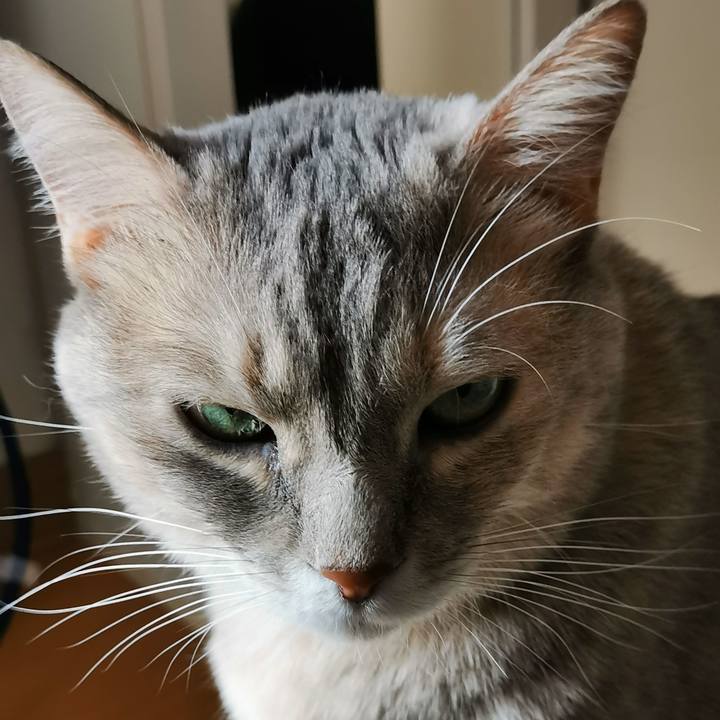 4466c09a 2ef0 4c14 966f 4ff68630159d 1668232731285