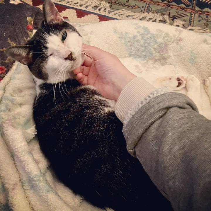 4466c83a 3dc9 4b2f ad51 fc95299690d0 1605274663859