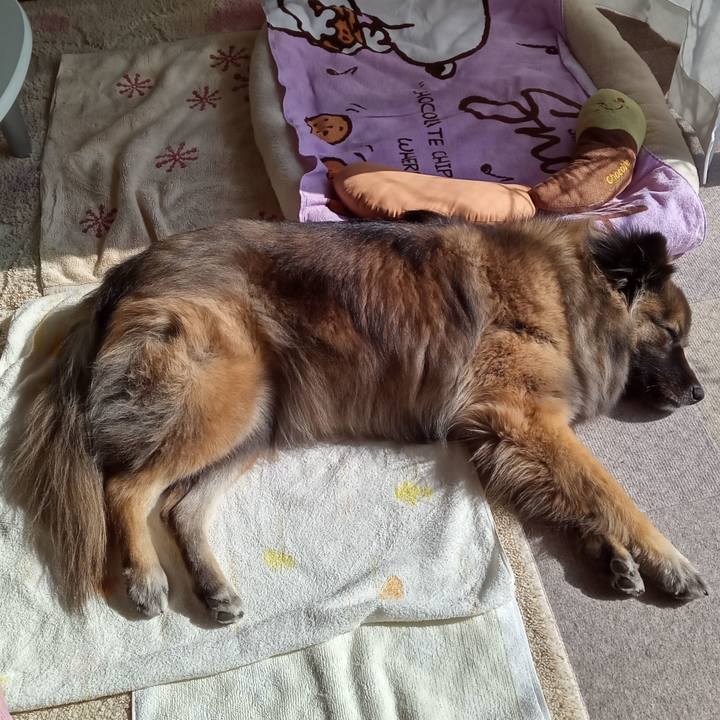 4466ca7f 74a6 4399 8624 5273d4a9b1e5 1773538384340