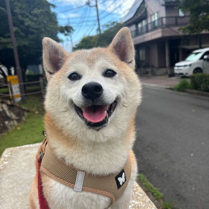 4466dd12 595a 4dec 9b33 0918fbaddee4 1752701585979