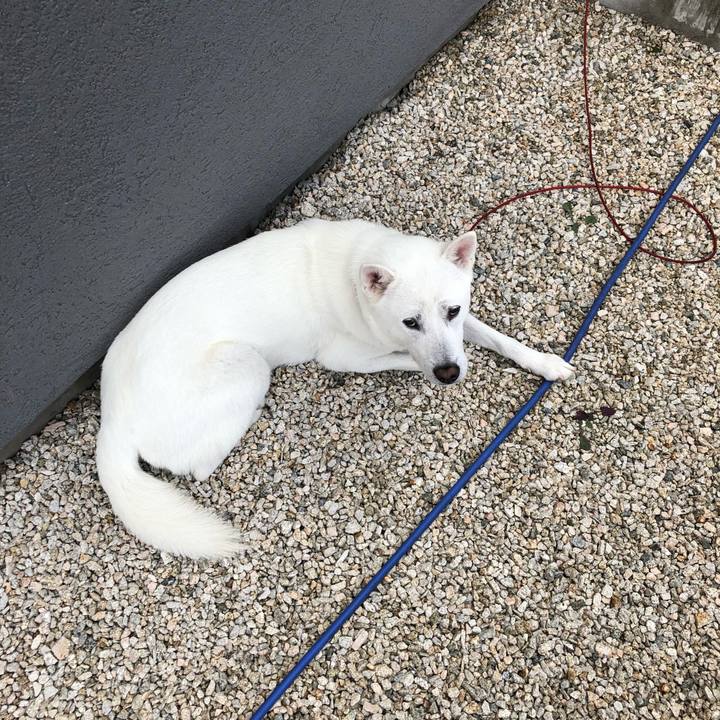 44670838 4fc0 4319 918e d0c9abb0dc19 1562887657187