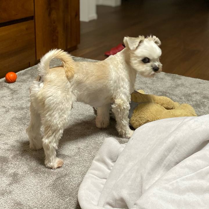 44672421 198d 4209 ac19 328c31917bc2 1603291367855