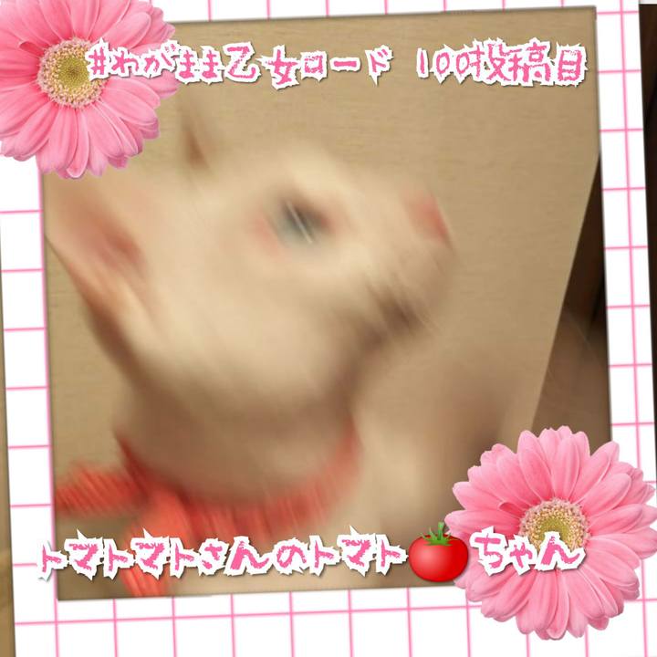 44672b43 9750 4531 a516 e812574832ae 1567773723251