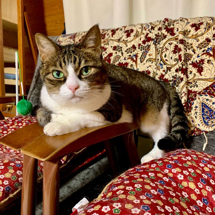 44675ef7 7783 487d bec5 b36890989aba 1627911490959