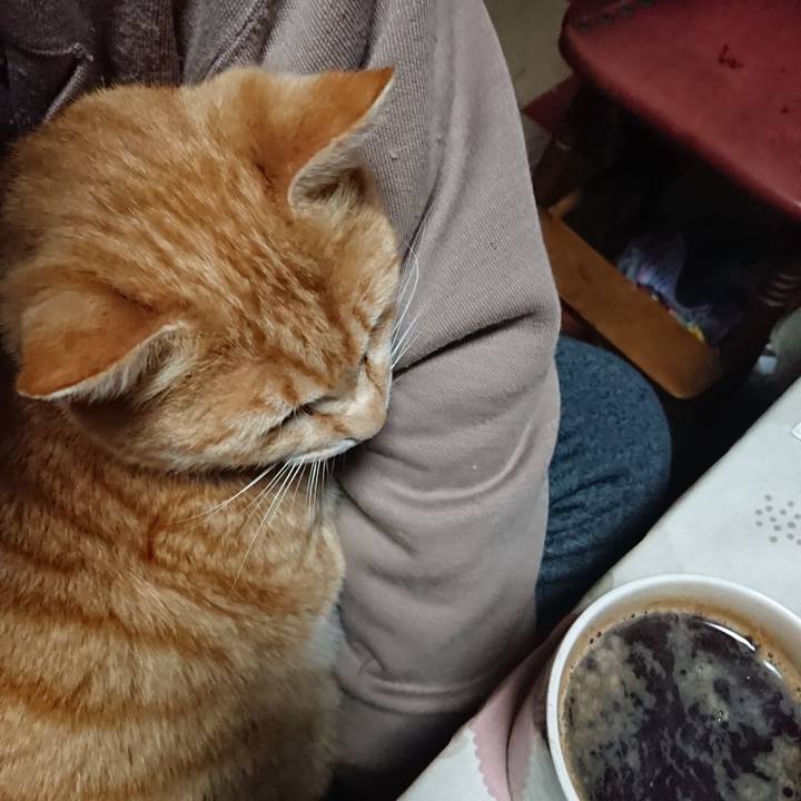 44676d5f d82f 4e46 938c b7e921b35f4b 1586289072276