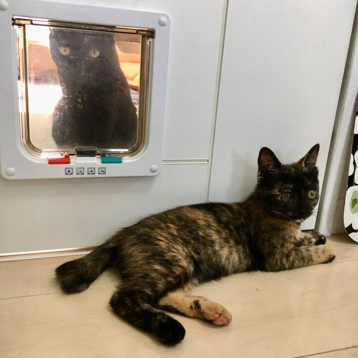 4467bdb4 03ab 408a 8feb f8f7a87b2ada 1564026836621