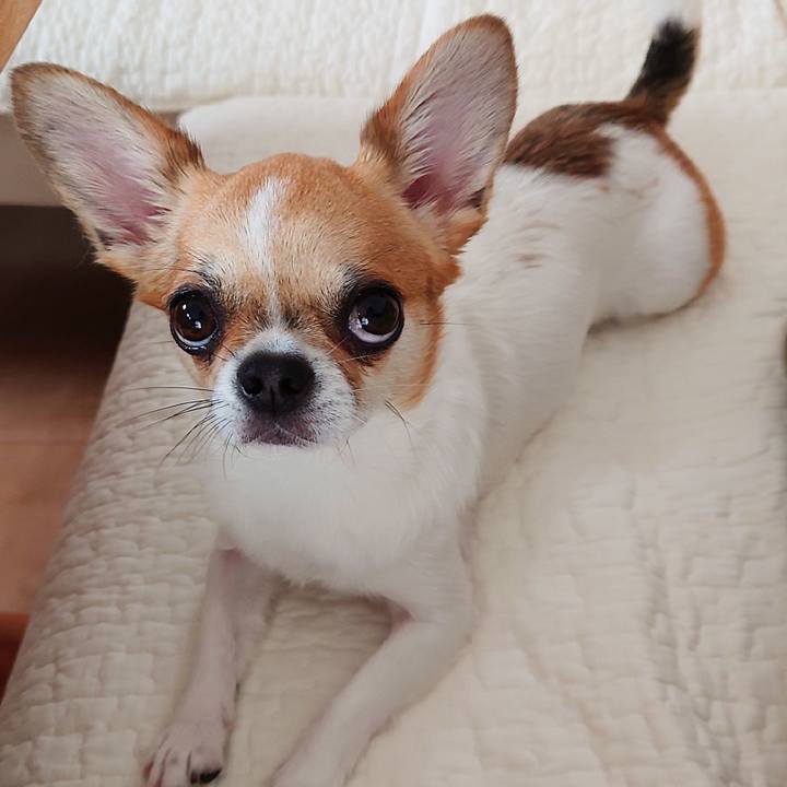 4467e03d 2655 4a6b 9217 aead2e59e3a7 1626336044106