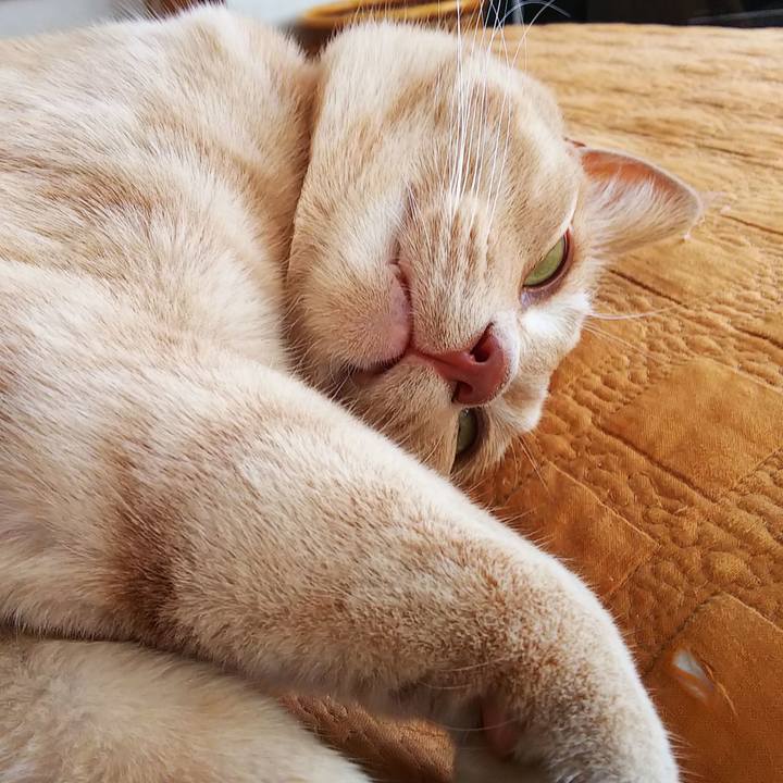 4467e72c 8bb0 4d99 aa12 f52babc58339 1597562029625