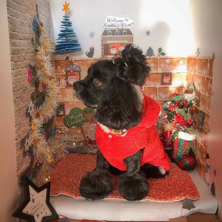 4468378c bf73 4aa7 a3bc 048c402e3e77 1577162980137