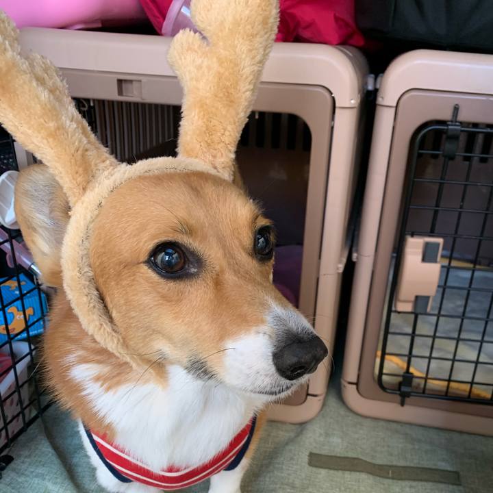 44683d40 9438 4e06 9316 14fb8f72064c 1608811841576