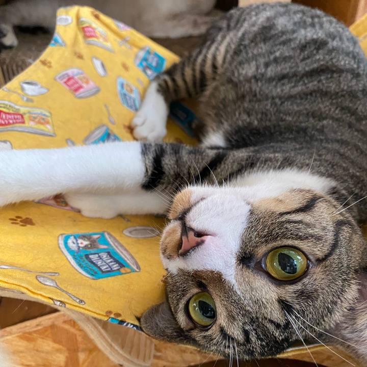 446868bf 1416 455a a8ba f99f4ace9ec2 1659484993008