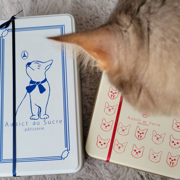 44689a3c 0d29 4bd2 b50c 3fda10ff9e7a 1648040594145