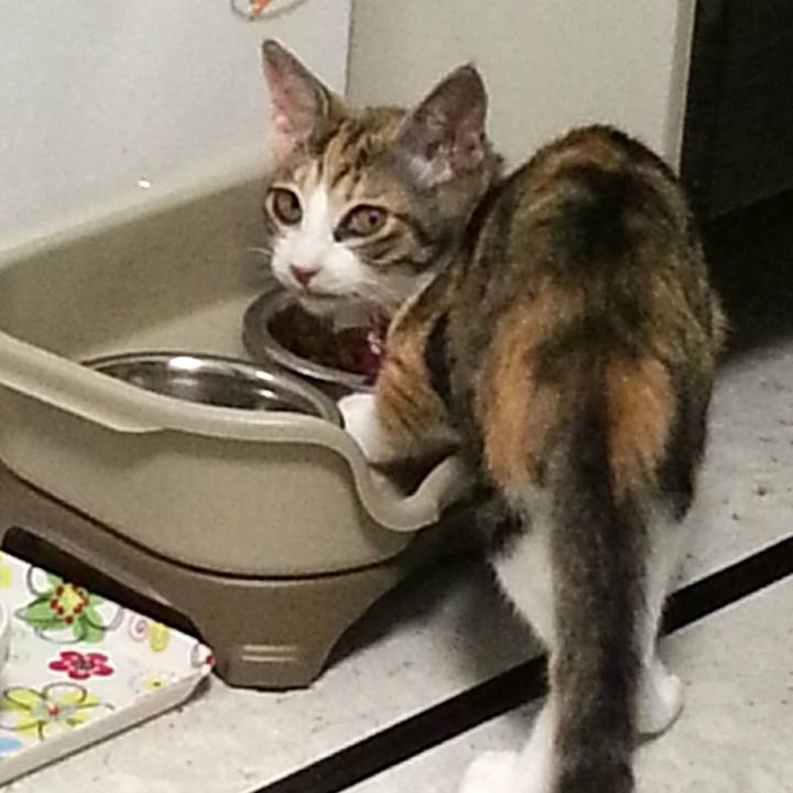 4468d9c6 9bb9 4736 b61f ea2c2e78945b 1550006254327