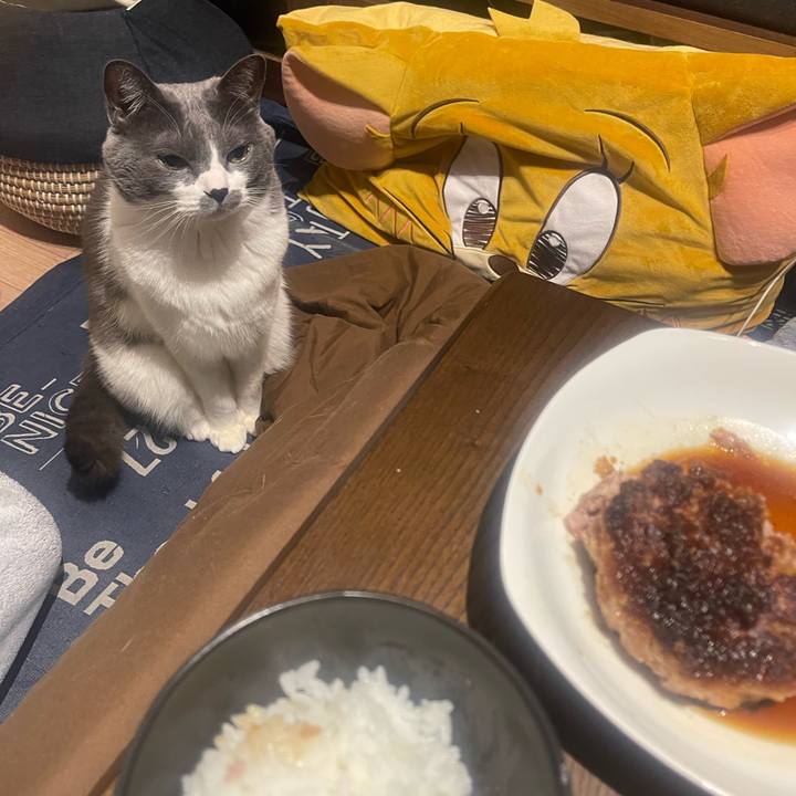 44697871 5614 4793 9c43 30a9f614870f 1739622680279