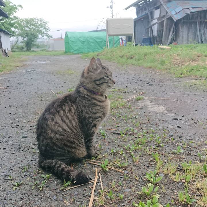 4469958f affd 44d1 abd2 272758b446e7 1652388896790